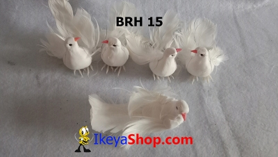 large2 BRH 15 b
